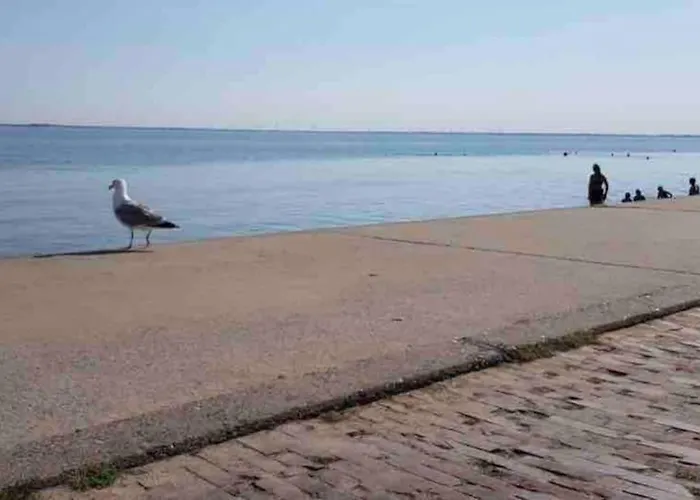 Auszeit Am 5 Gehminuten Zum Suedstrand, Gemuetliche 75 Quadratmeter Wohnung,hochparterre * Wilhelmshaven